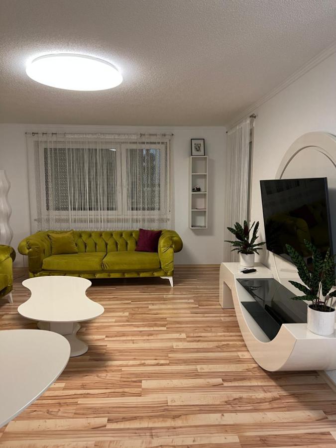 O&V Apartment Waldshut-Tiengen Exterior photo